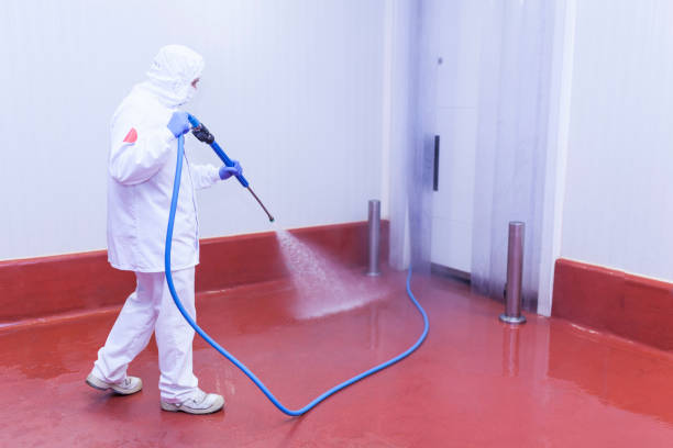 Best Roof Cleaning and Mildew Removal in Glenwood, MN