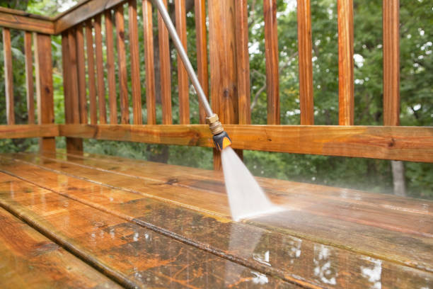 Best Soft Washing for Delicate Surfaces in Glenwood, MN